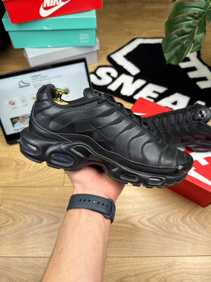 Nike Air Max Plus (42)