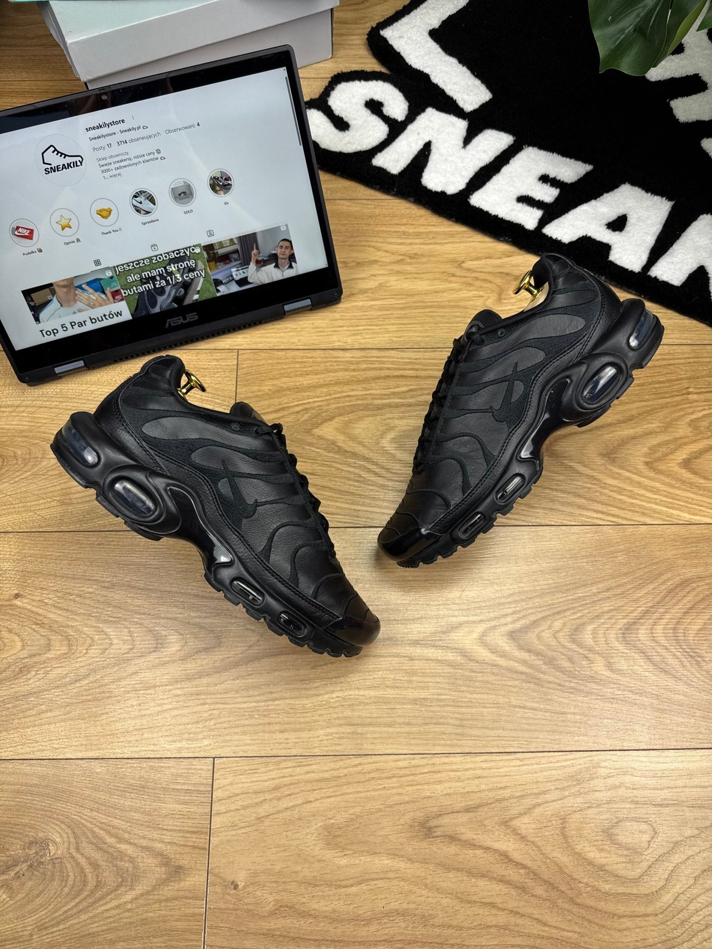 Nike Air Max Plus (42)
