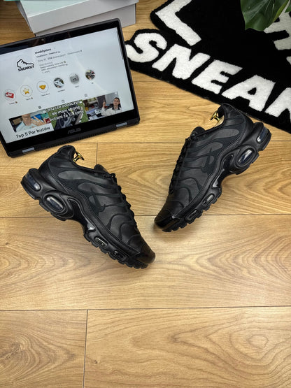 Nike Air Max Plus (42)