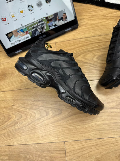 Nike Air Max Plus (42)