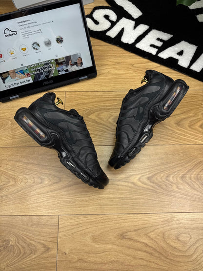 Nike Air Max Plus (42)