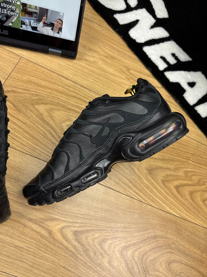 Nike Air Max Plus (42)