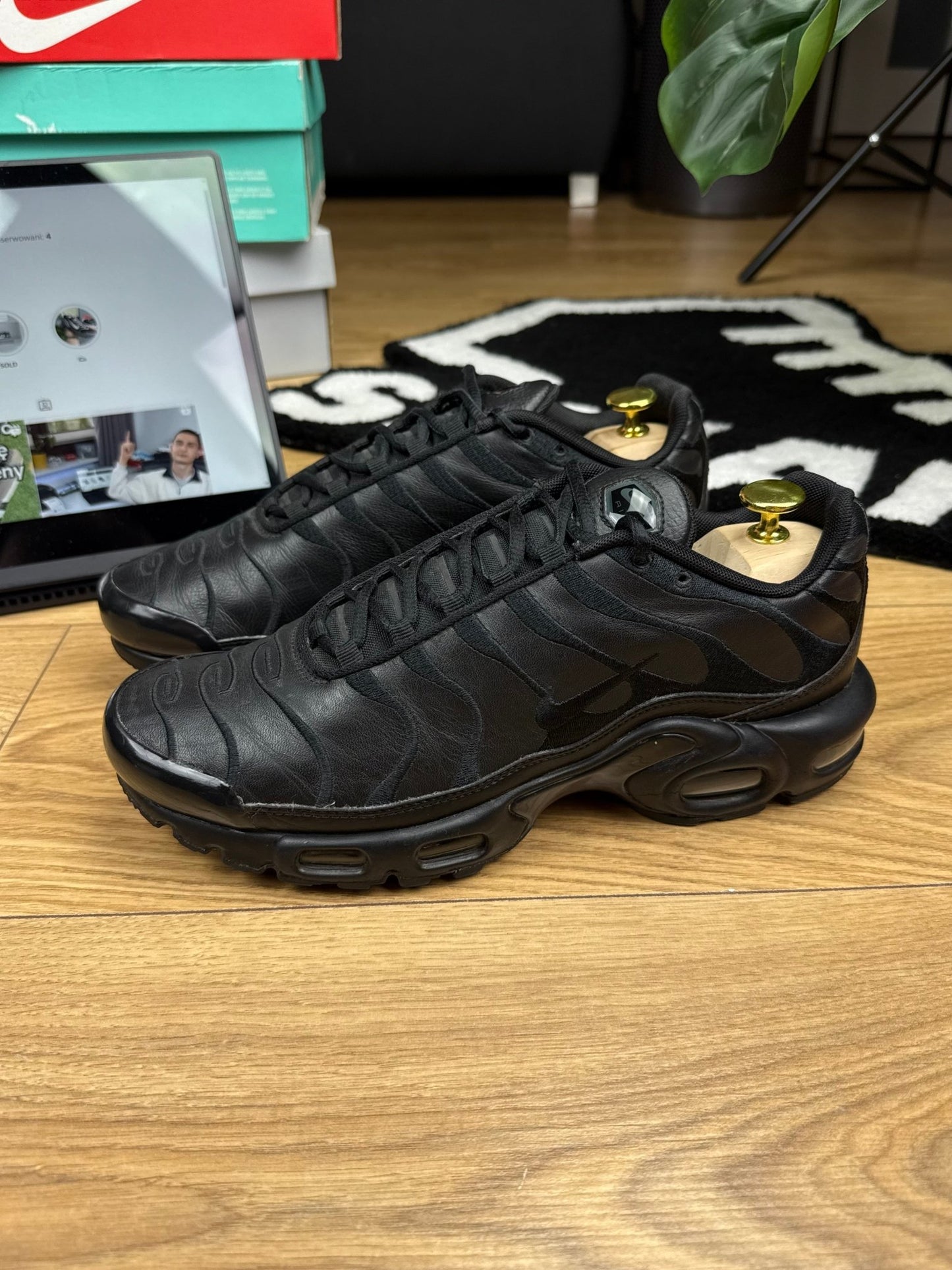 Nike Air Max Plus (42)