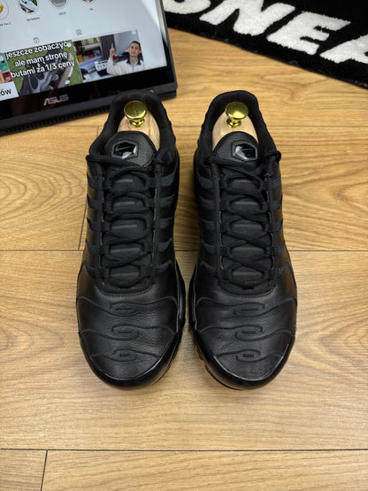 Nike Air Max Plus (42)