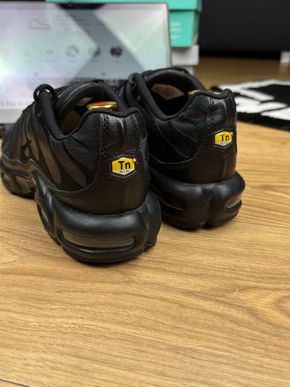 Nike Air Max Plus (42)