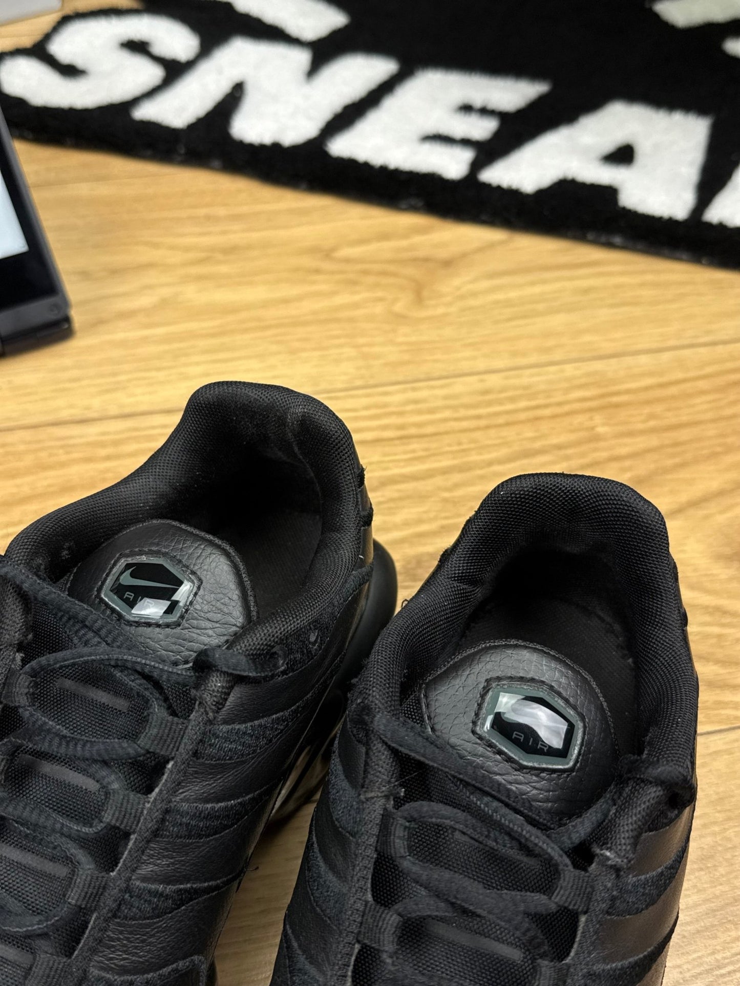 Nike Air Max Plus (42)
