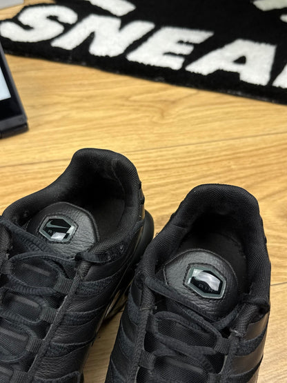 Nike Air Max Plus (42)