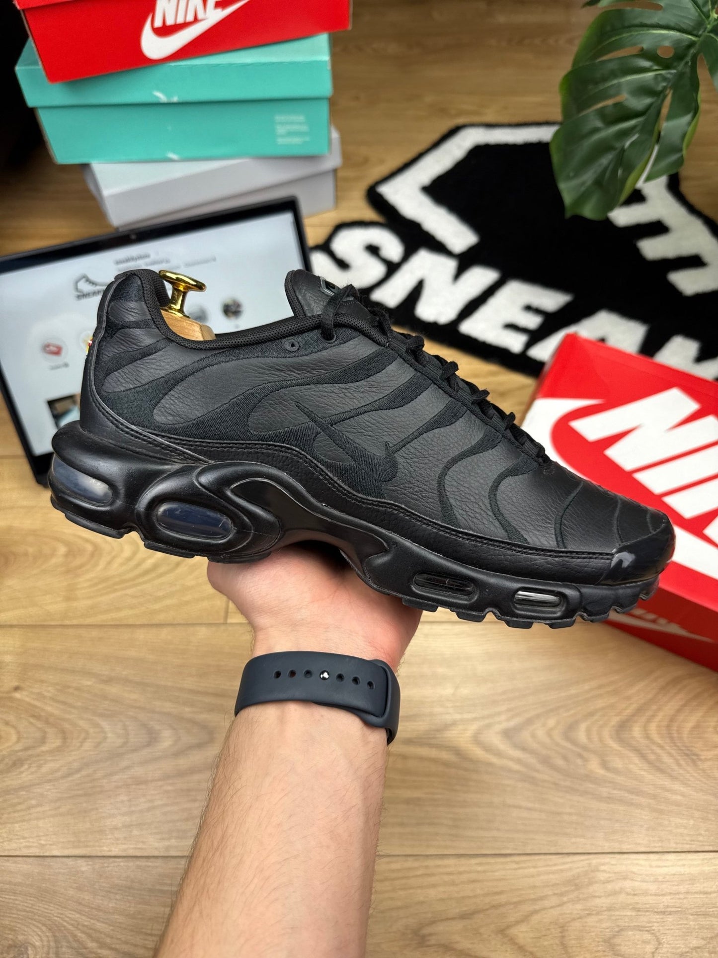 Nike Air Max Plus (45)
