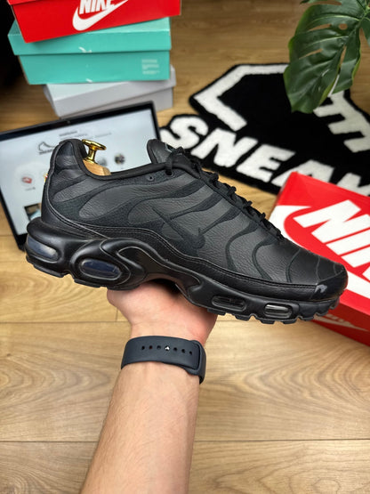 Nike Air Max Plus (45)