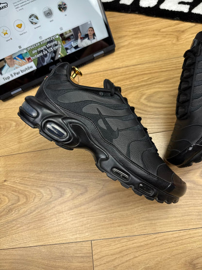 Nike Air Max Plus (45)