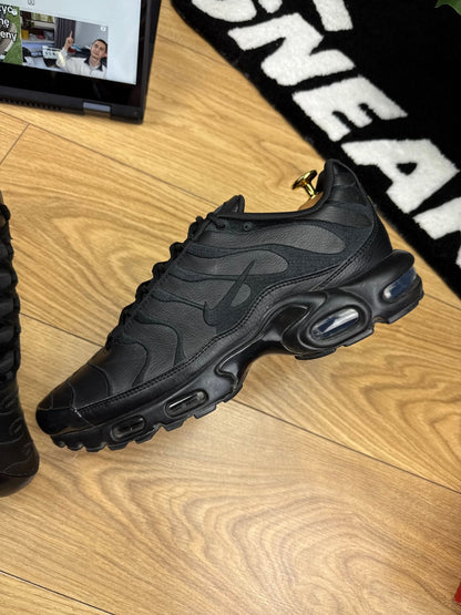 Nike Air Max Plus (45)
