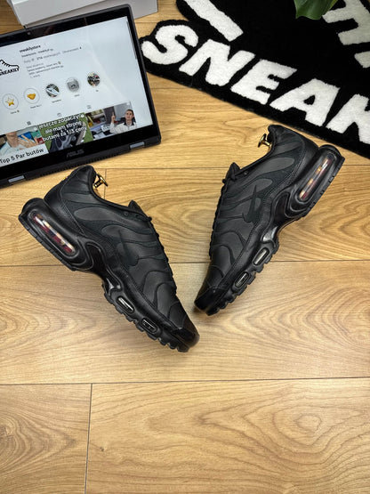 Nike Air Max Plus (45)