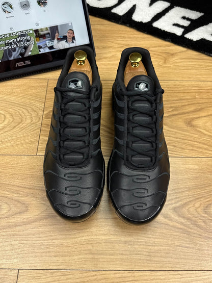 Nike Air Max Plus (45)