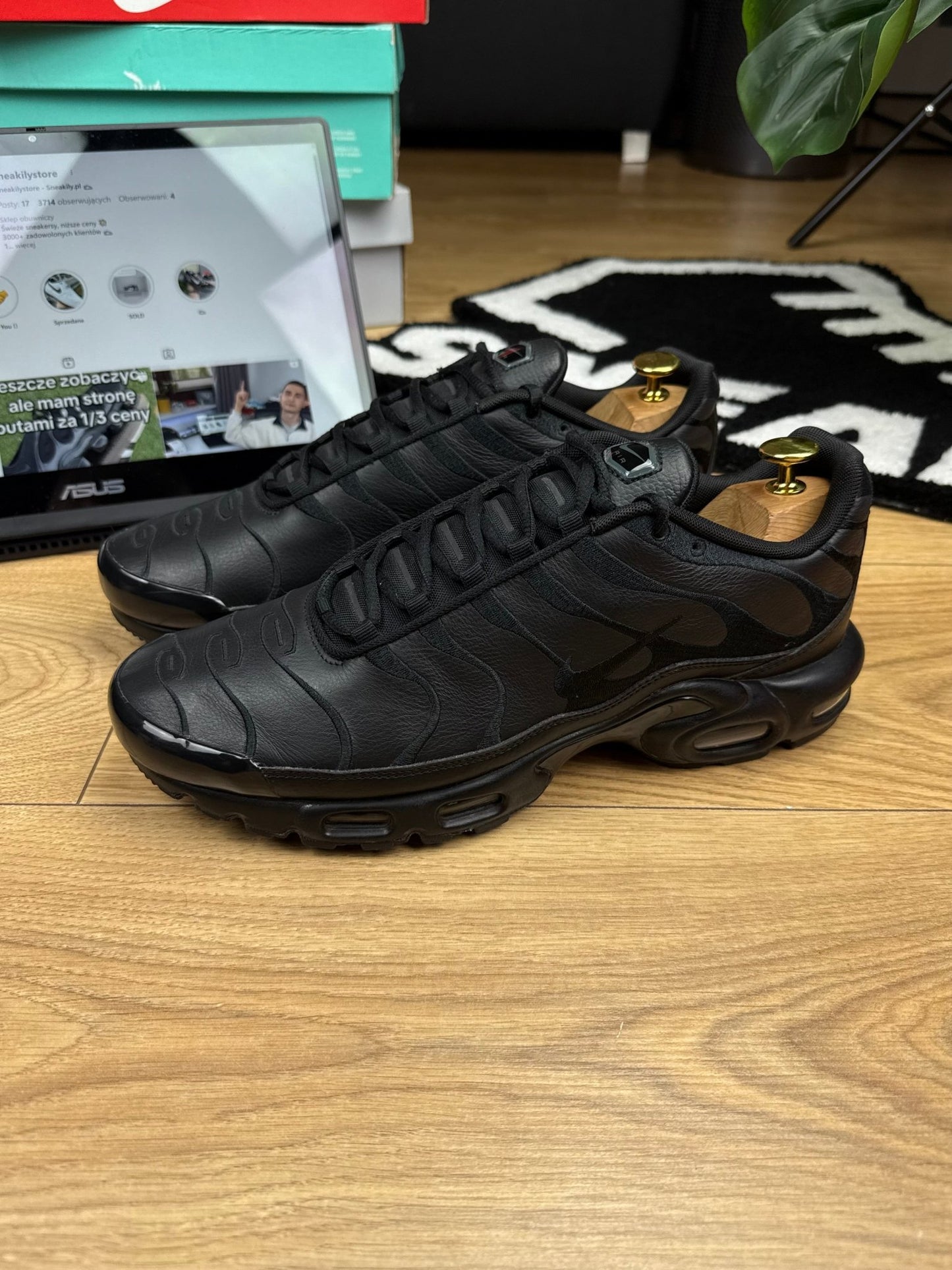 Nike Air Max Plus (45)