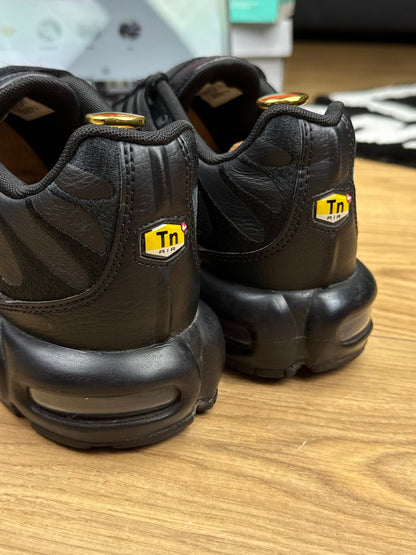 Nike Air Max Plus (45)