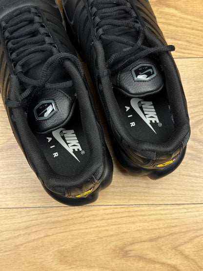 Nike Air Max Plus (45)