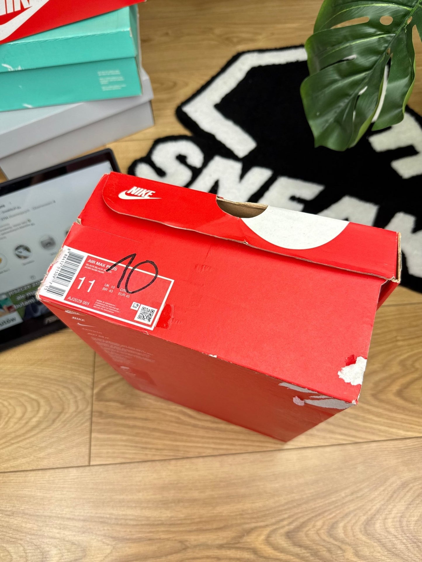 Nike Air Max Plus (45)