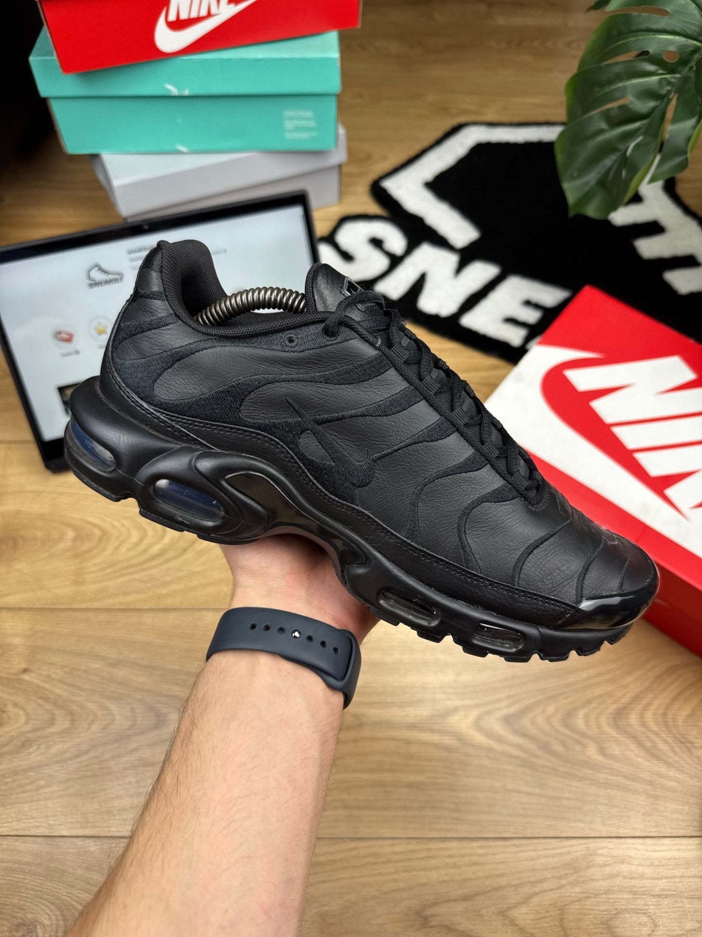 Nike Air Max Plus (44.5)