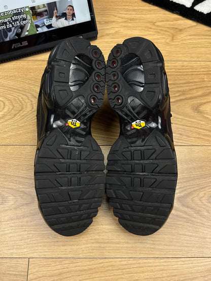 Nike Air Max Plus (44.5)
