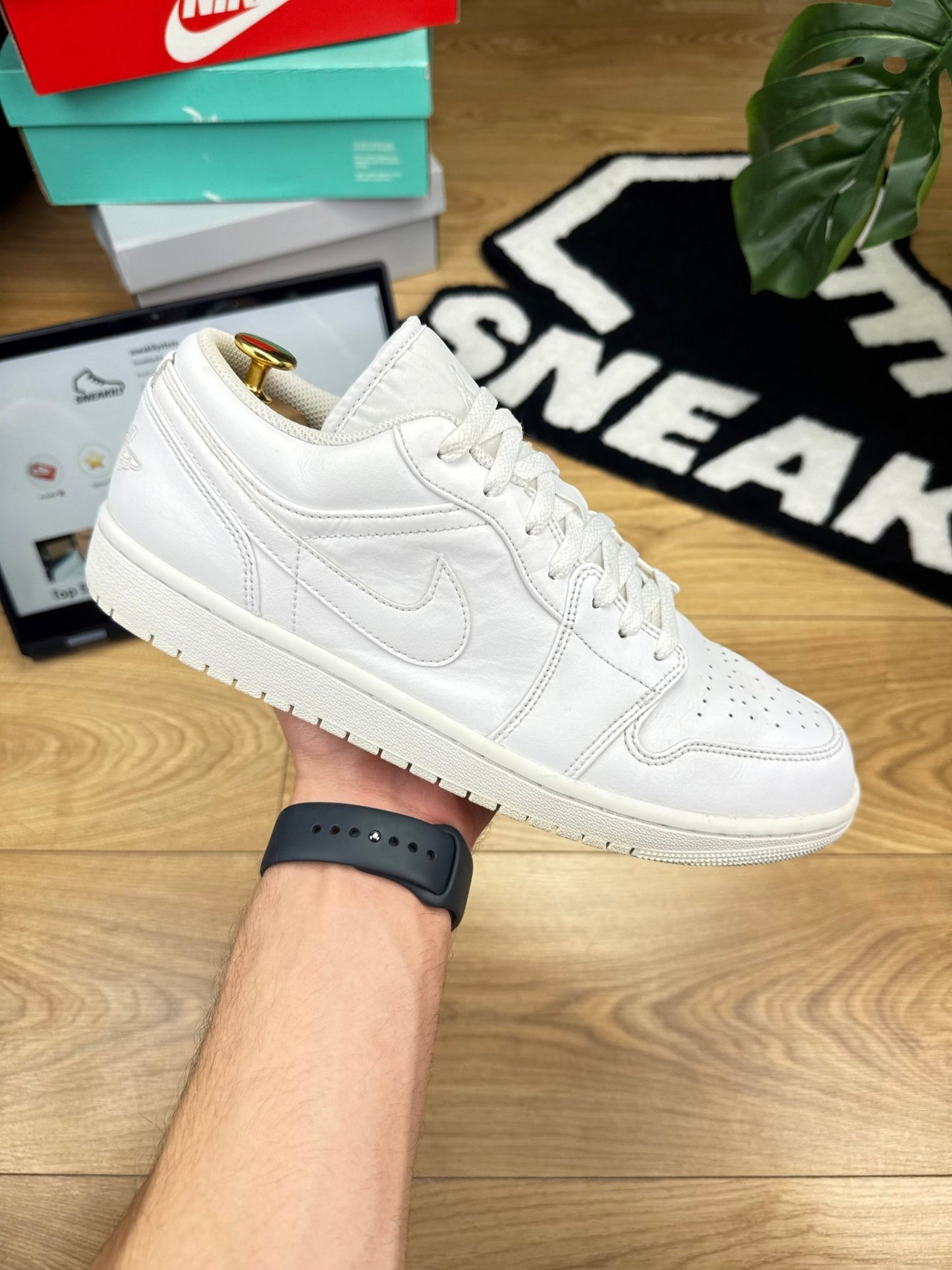 Nike Air Jordan 1 Low (45)