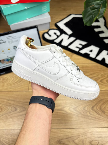 Nike Air Force 1 Low (39)