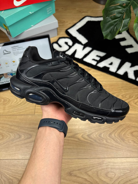 Nike Air Max Plus (46)