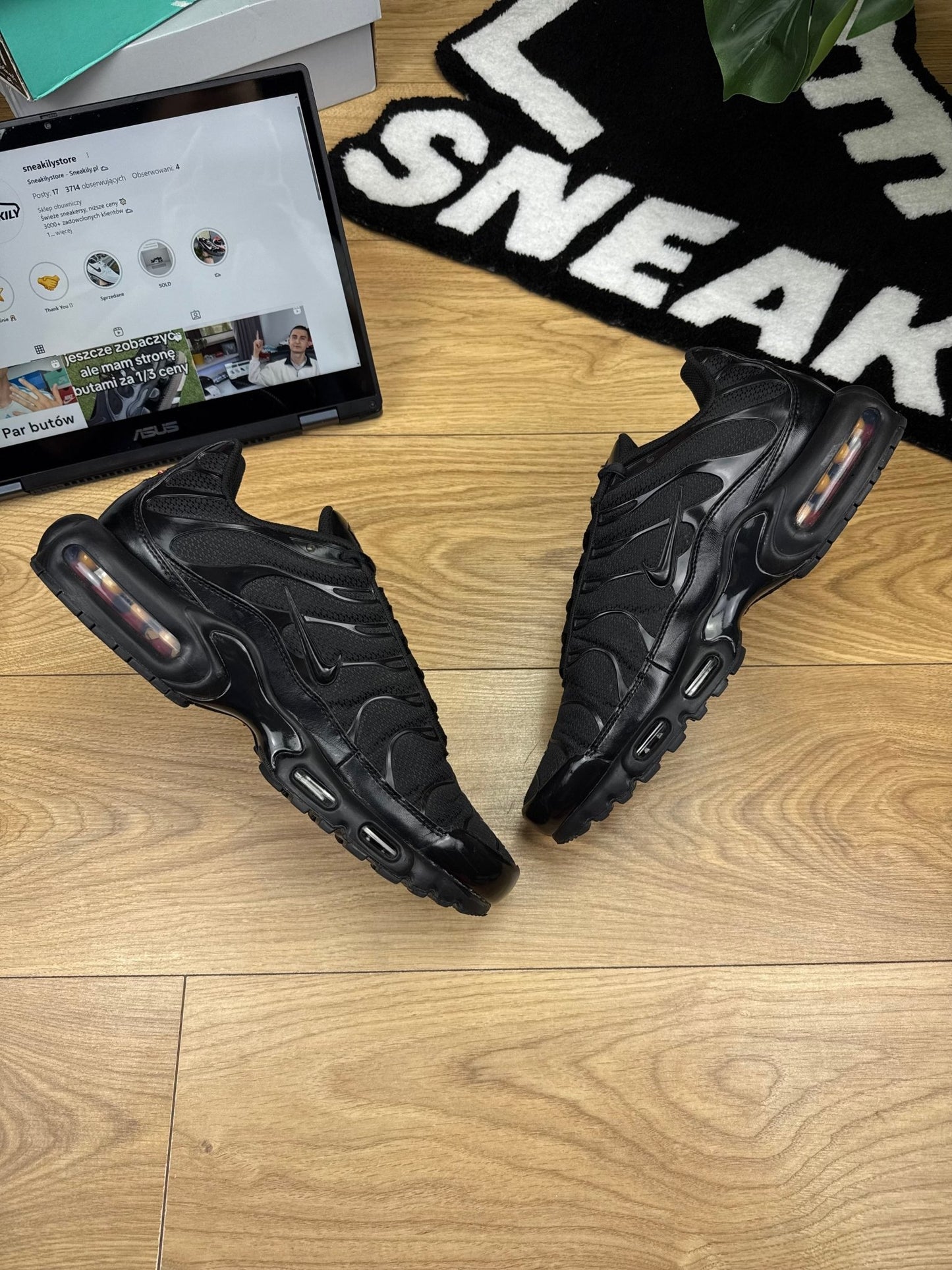 Nike Air Max Plus (46)