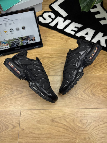 Nike Air Max Plus (46)