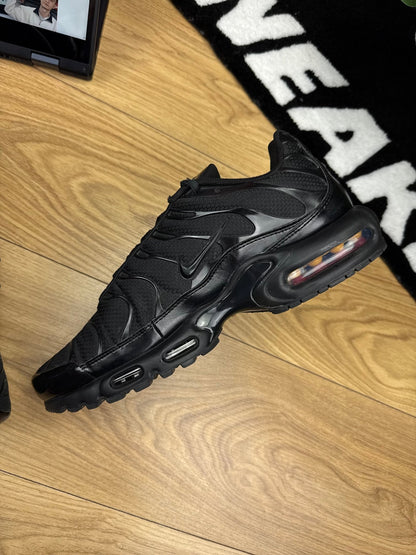Nike Air Max Plus (46)
