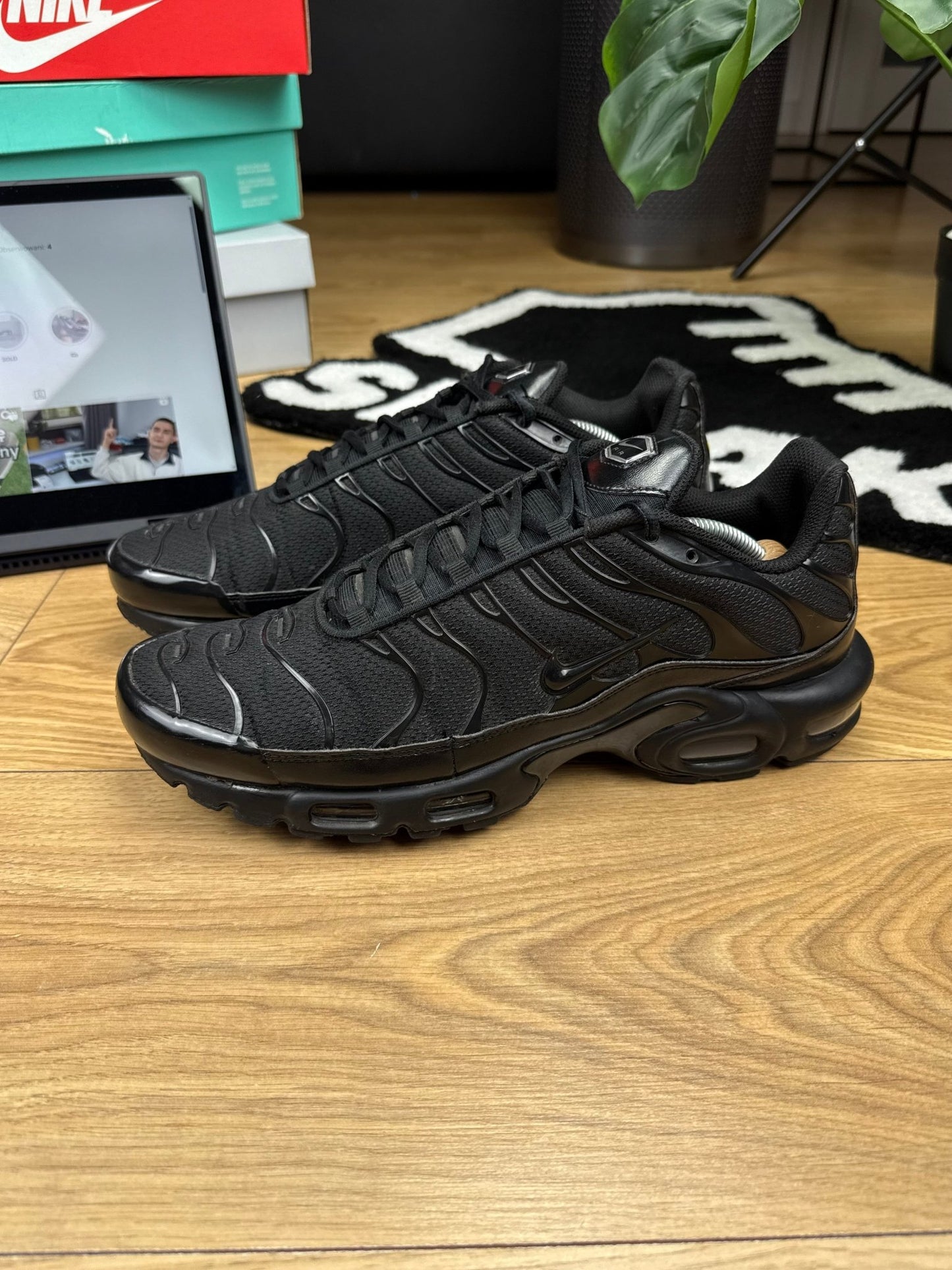 Nike Air Max Plus (46)