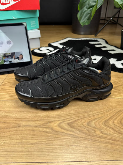 Nike Air Max Plus (46)