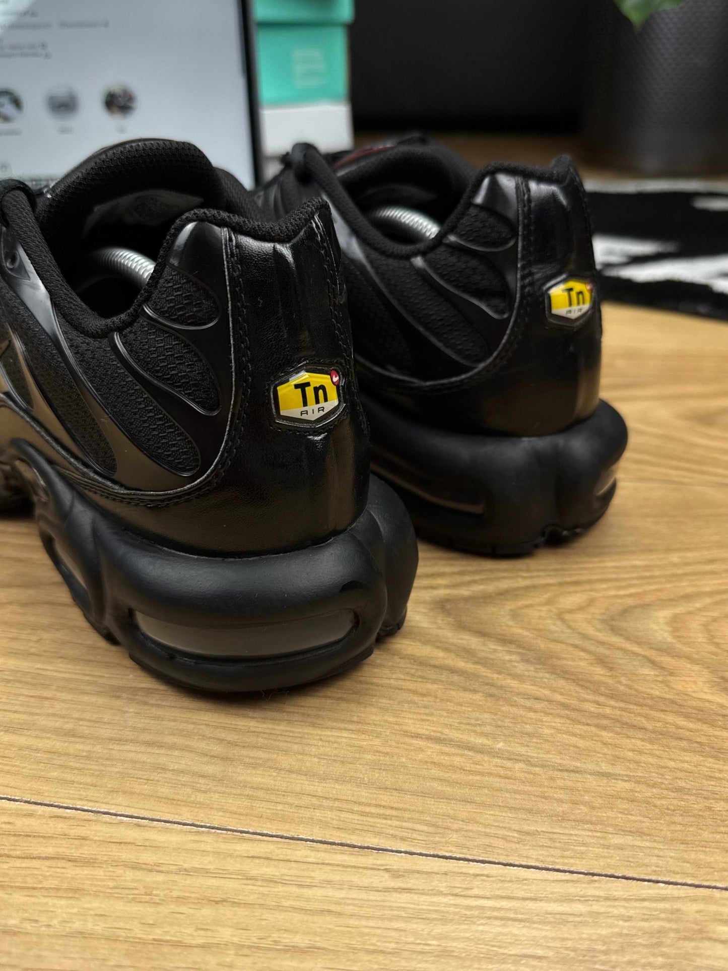 Nike Air Max Plus (46)