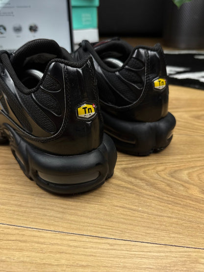 Nike Air Max Plus (46)