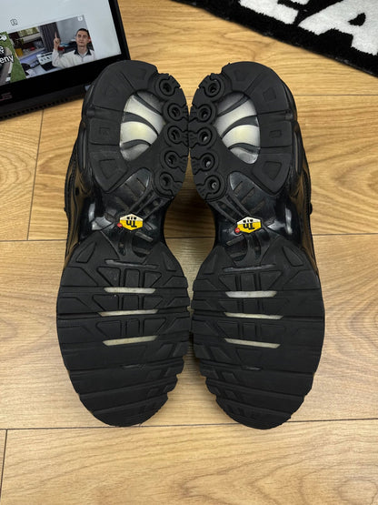 Nike Air Max Plus (46)