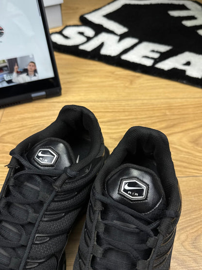 Nike Air Max Plus (46)