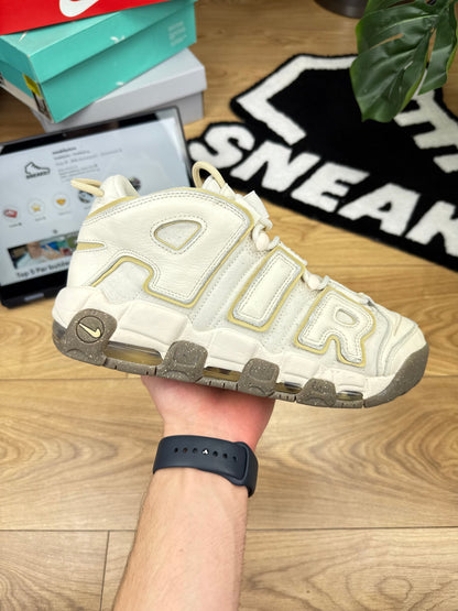 Nike Air More Uptempo 96 (41)