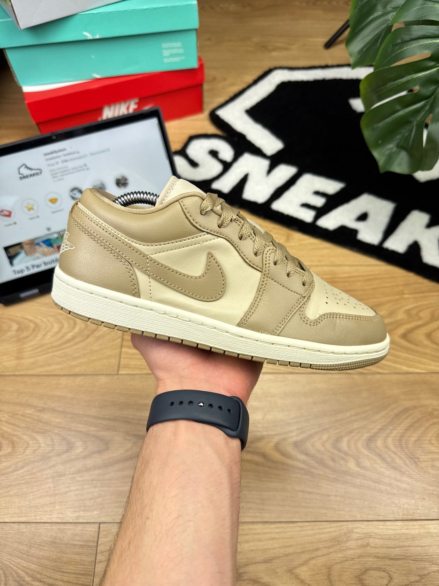 Nike Air Jordan 1 Low (40)
