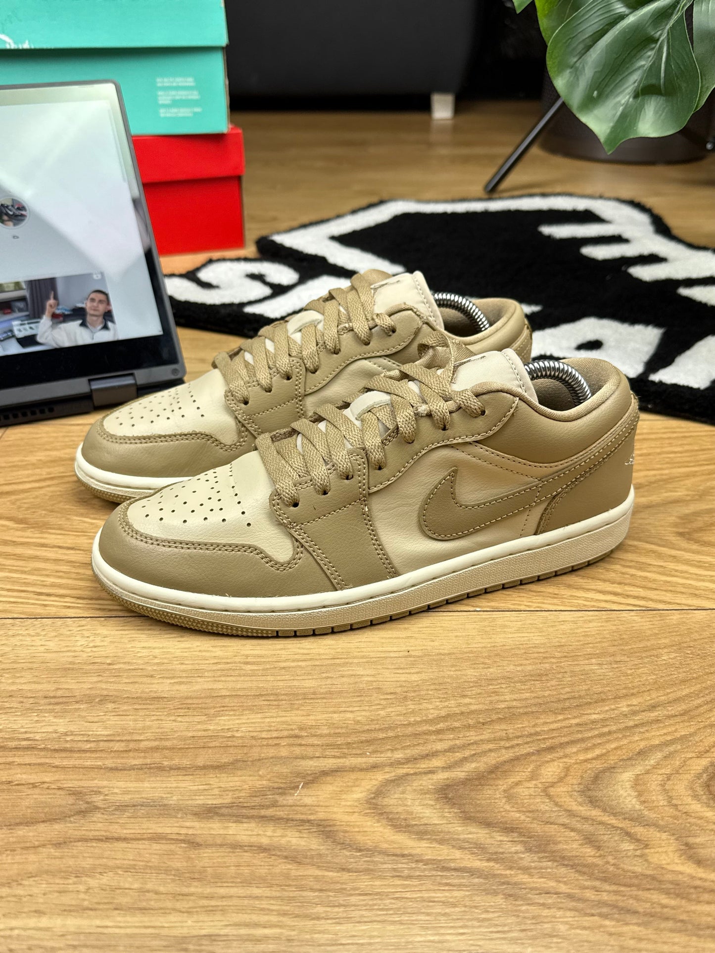 Nike Air Jordan 1 Low (40)