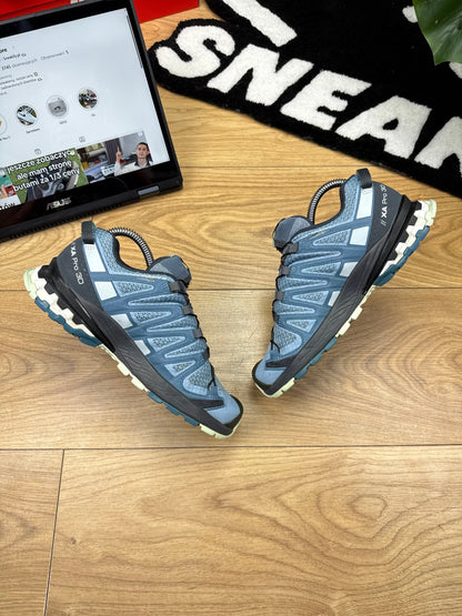 Salomon Xa Pro 3D V8 (36)