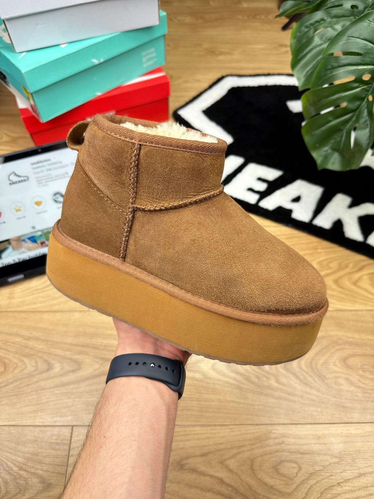 Emu Australia Stinger Micro Flatform (38)