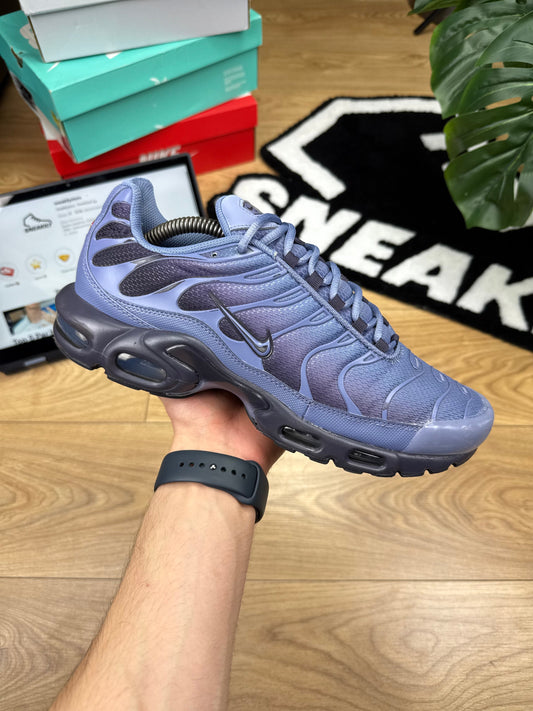Nike Air Max Plus (44.5)