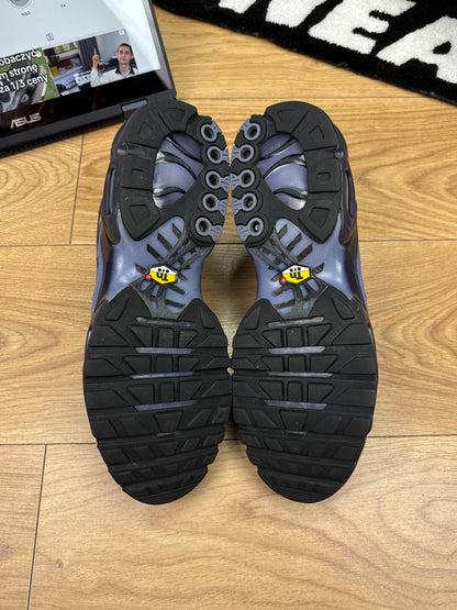 Nike Air Max Plus (44.5)