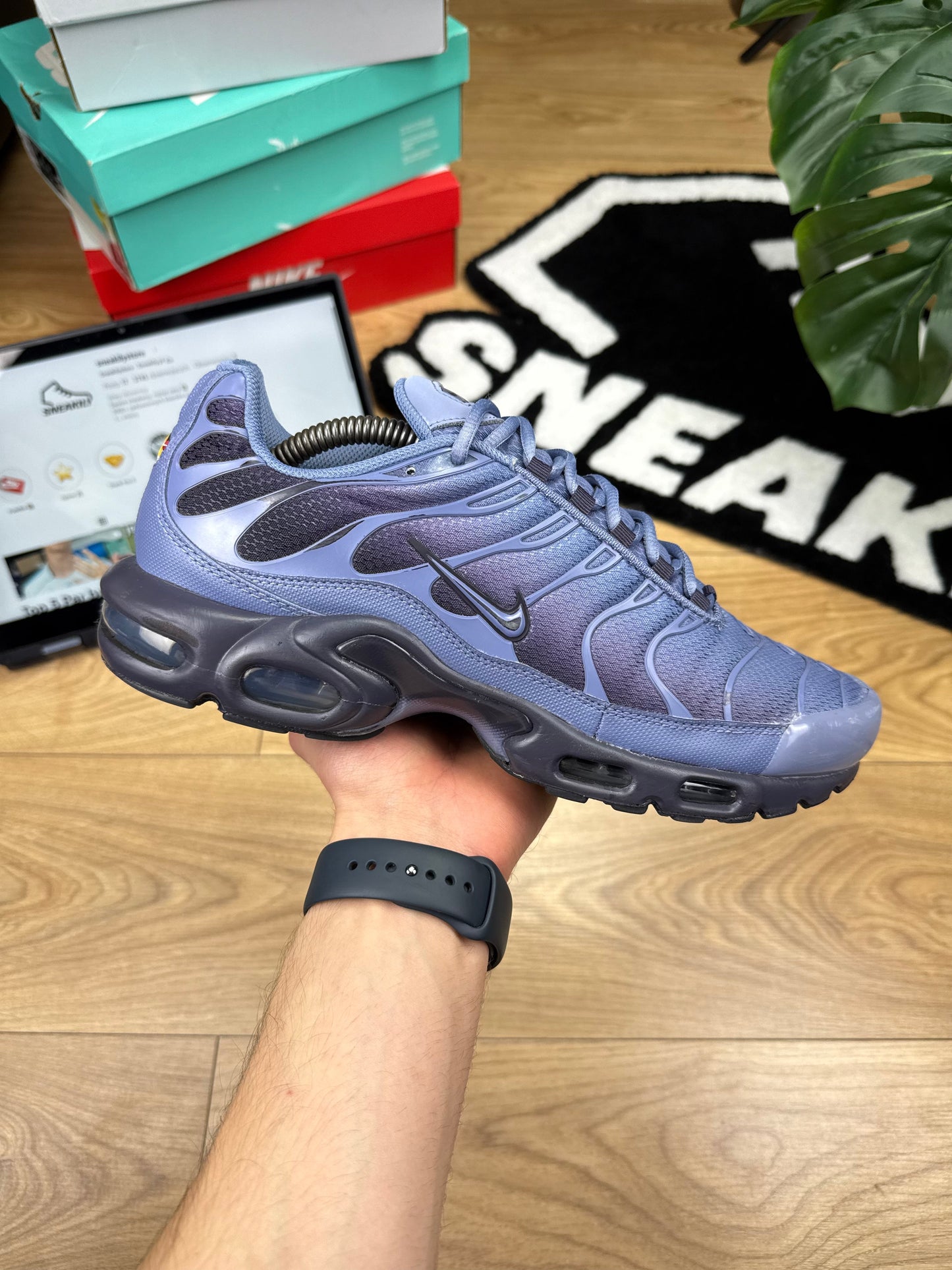Nike Air Max Plus (44.5)