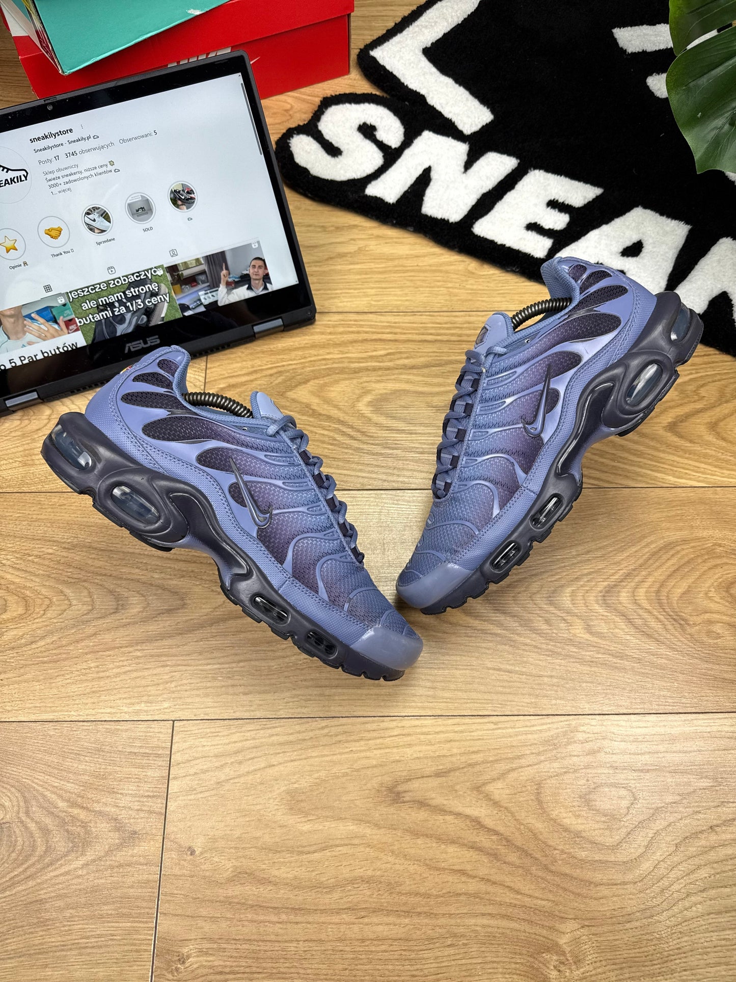 Nike Air Max Plus (44.5)