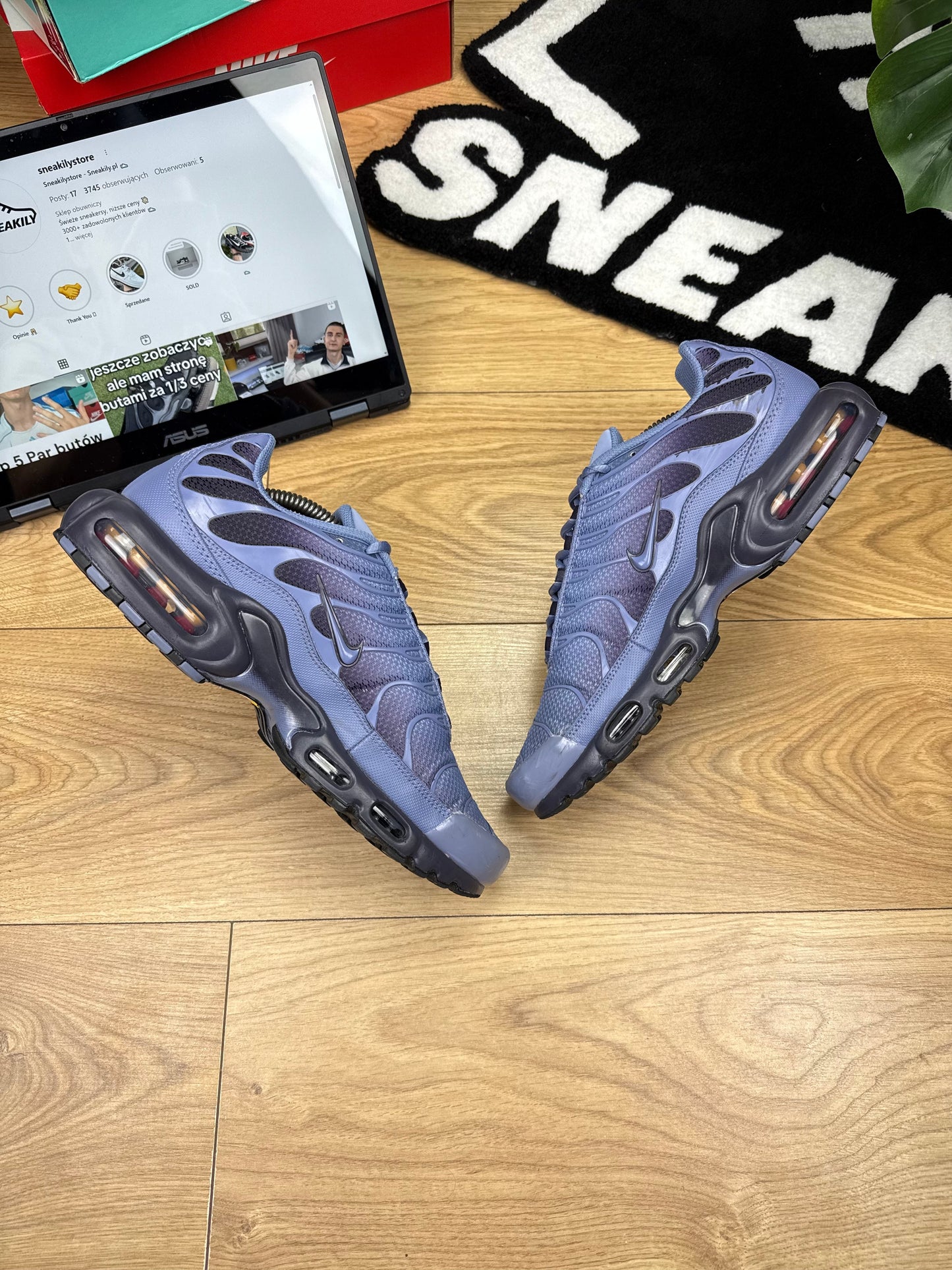 Nike Air Max Plus (44.5)