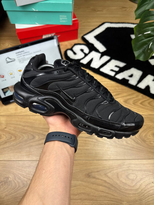 Nike Air Max Plus (45.5)