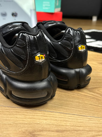 Nike Air Max Plus (45.5)