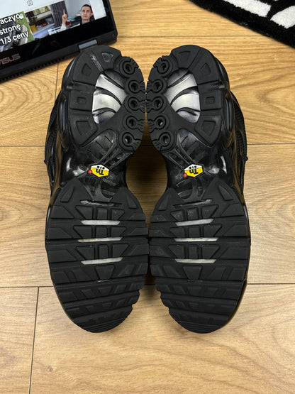 Nike Air Max Plus (45.5)