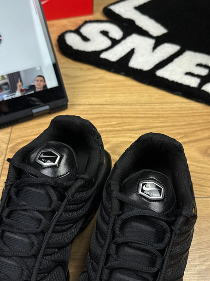 Nike Air Max Plus (45.5)