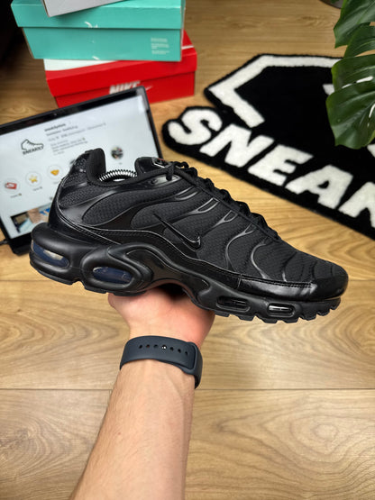 Nike Air Max Plus (45.5)